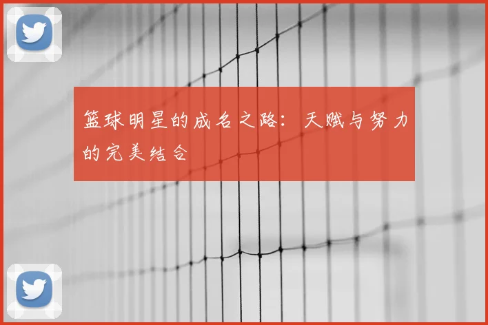篮球明星的成名之路:天赋与努力的完美结合